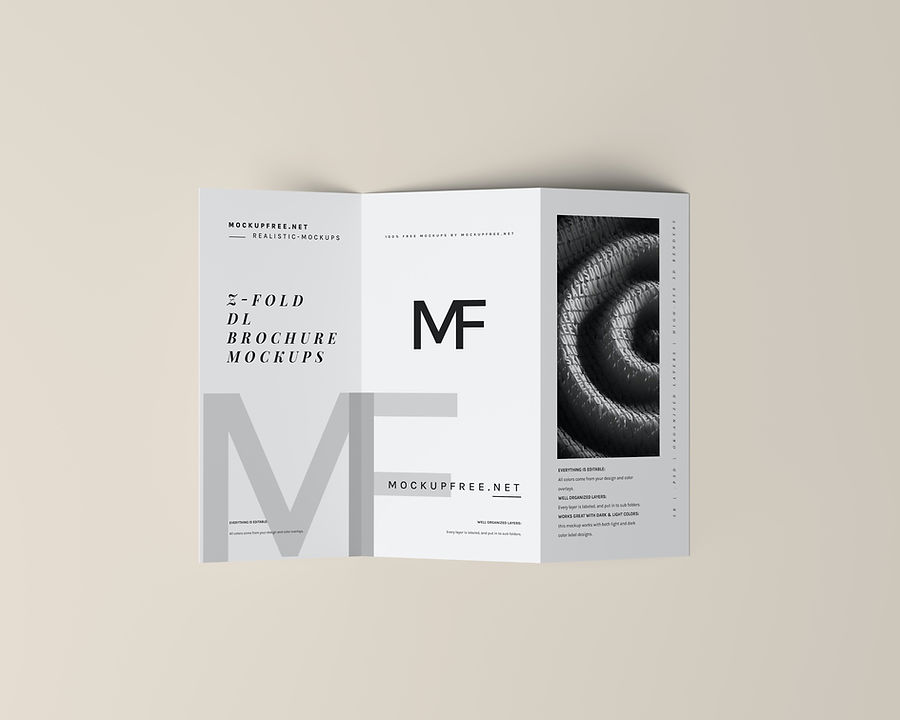 Flyer/Brochure